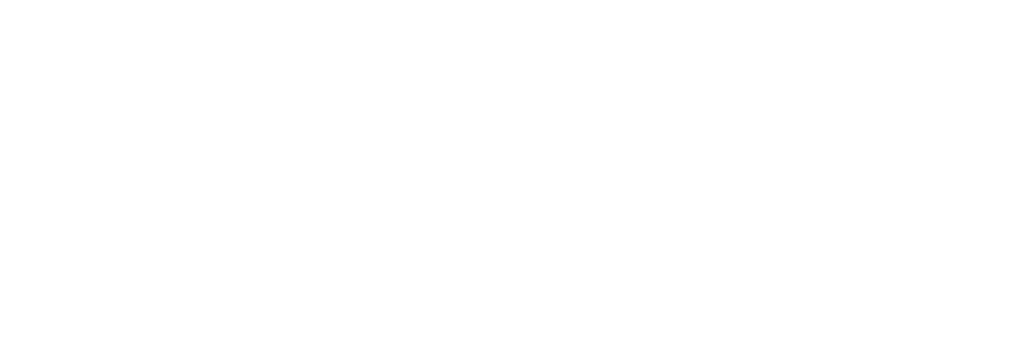 Rude logo blanco